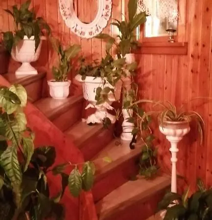 Troll Forest House Ryfoss