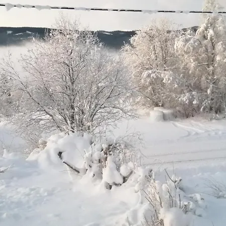 Homestay Troll Forest House Ryfoss