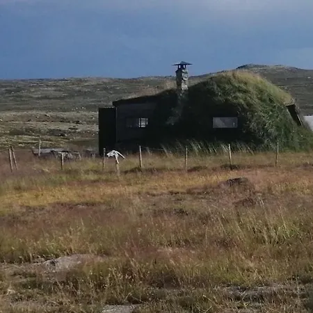 Homestay Troll Forest House Ryfoss
