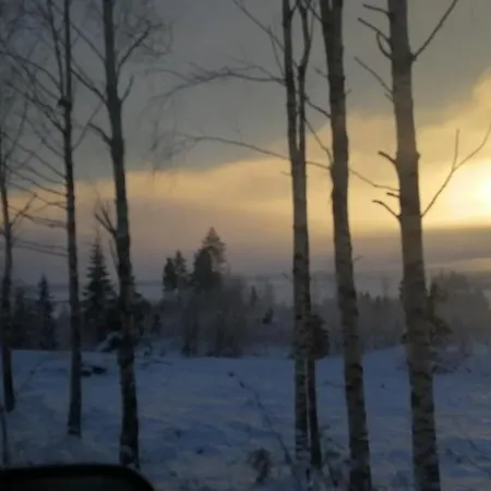 Homestay Troll Forest House Ryfoss